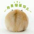 l**苏苏头像