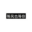 付家大少_
