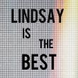 Lindsayisbest的云盘主页