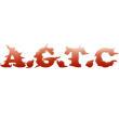 AGTC字幕组