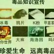 你觉得,是《我的世界》玩家多,还是《迷你世界》玩家多?