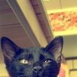 我的黑cat的云盘主页