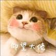 妃英理律师和毛利小五郎一起出场的集数图片 4077 110x110