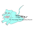 TOPPer_HK的云盘主页