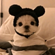 小资***ng头像
