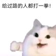 某**腹黑头像