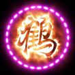 zhizdd