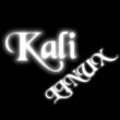 Kali安全网的云盘主页