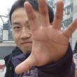 zhumengzhifan