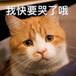 百度用户UID2353350918 裕墨i 轻吻我💕 的头像