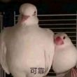 百度用户UID2657635853 愣了愣嚒 何以解忧☞🐴☜ 的头像