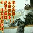 圊舂**葒顔