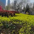 qq4****068
