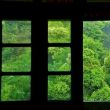 百度用户UID2417355029 恒温睡眠 -卅一川- 的头像
