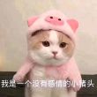 百度用户UID1066574360 傲娇攻20010330 null 的头像