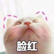 夏日**蚊帳