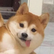 夏*始