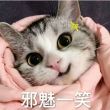百度用户UID2679513661 未书阑珊 null 的头像