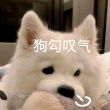 无*zy