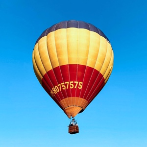 只有你一生