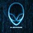 Alie******ream