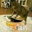 大*天狼