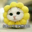 白**加精