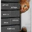 百度用户UID114125143 爱家爱妞妞 null 的头像