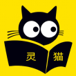 埃*高峰