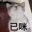 百度用户UID2760009050 企鹅噗 企鹅p🍭 的头像