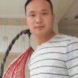 扶摇问鼎