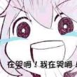 百度用户UID3078894438 时羽不是雨 null 的头像