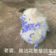 百度用户UID1497508202 神代呆卡萌 ლ珏曦💕✨ 的头像