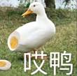 百度用户UID1865435001 ic5lv4 鸭鸭超可爱💫 的头像