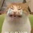 古*智树