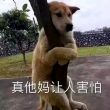 姑娘她爹爹