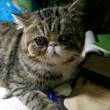 百度用户UID1061753751 stephen030121 ♤多比欧♤ 的头像