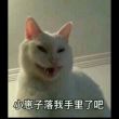 百度用户UID1694924951 Ailn朵朵 null 的头像