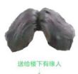 百度用户UID752601500 wodebishouhao1 冰🎃南瓜 的头像