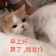 百度用户UID2248274076 Angle_静音 小鹿吖🔯 的头像