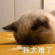 我晕4****999
