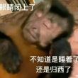 百度用户UID3941385890 袋紙君 020-C君 的头像