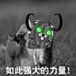 百度用户UID1041039010 折翼的小抓 续♂命♂师 的头像
