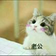 yes梦想