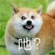 百度用户UID1600562856 衿笙啊 null 的头像
