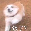 百度用户UID2258850738 萌萌2487 一只咸鱼♂◆ 的头像