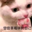 百度用户UID4082830515 三硝基甲苯01号 null 的头像