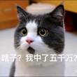 百度用户UID564976563 mo_sa_ka null 的头像