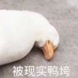 cod16游戏出现dll文件错误怎么办？
