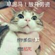 N**高手